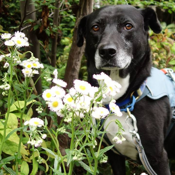 8638a521 9028 434f bd17 bf5d83b0669b 1713833626420