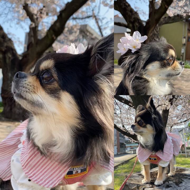 8638d2f5 95f6 4c0e 97de dd687802c75a 1616721680066