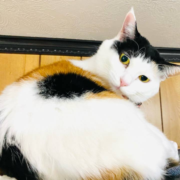 8638e129 07cd 4e99 b520 d44ae78eb5eb 1710026774975