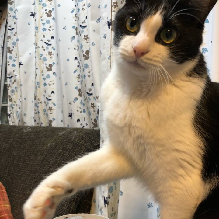 8638f3e3 a716 45fc bdd8 afecfad94a4b 1554289573898