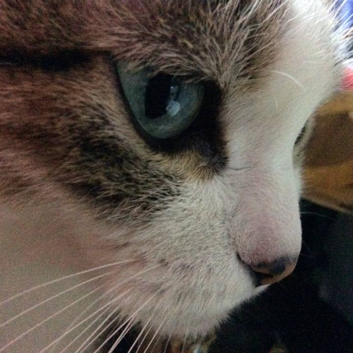 863963a6 6cde 47e2 ba08 2ec50b44b512 1765407295754