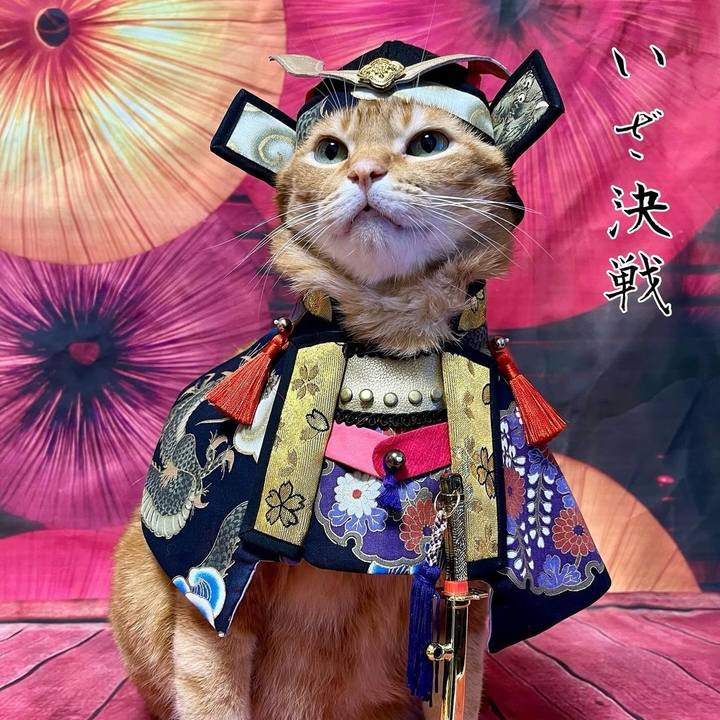 86396744 5f52 430f a6a8 01d9e3dcf947 1702694169888