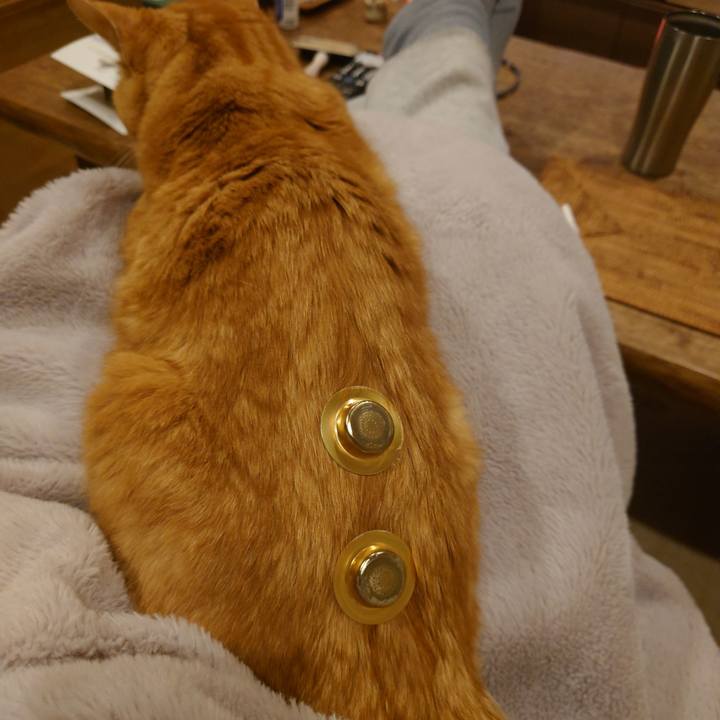 86398a13 d736 434a ad5e aed9fd0efaf2 1771459746978