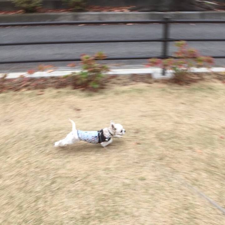 8639ba2f d6c0 45c7 986c 2533899ee472 1511001072326