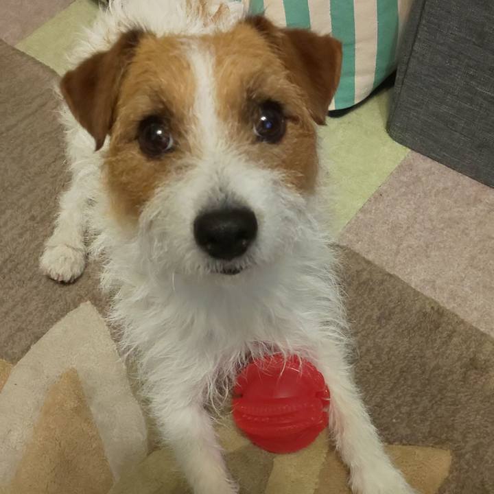 8639d03c 157b 4e0f bddd d865faef3fbf 1590484676487