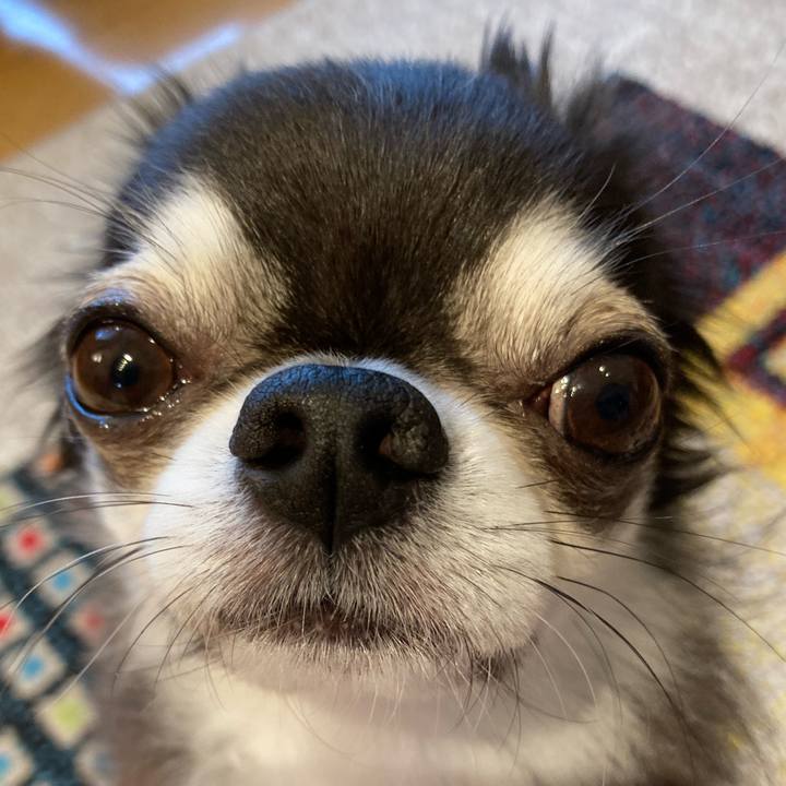 8639dfcb 3b44 46d5 b3b4 30a5c7325c92 1716072964296