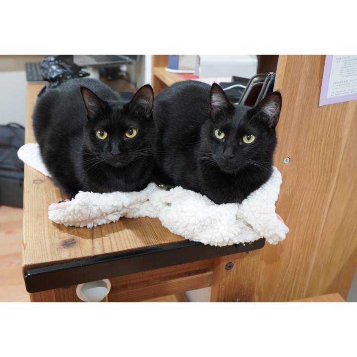 863a074a cef3 42a4 ab16 ec4eaffda985 1602594090457