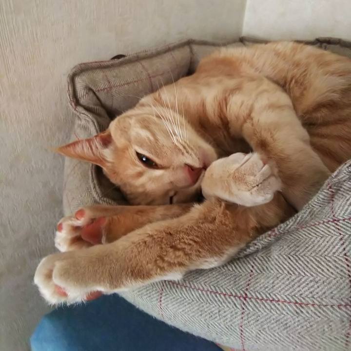 863a2674 e644 45bd a618 89185f927c31 1582360309890