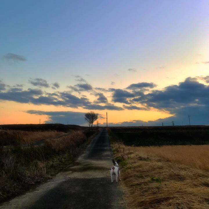 863a699d b567 4777 bc4f c014fbdca3e1 1514207206313