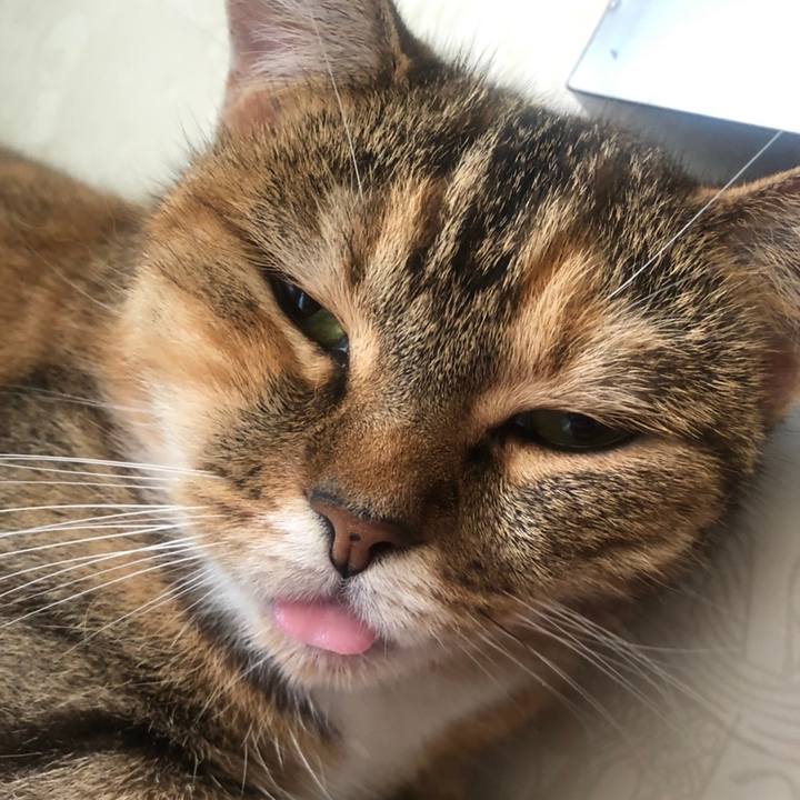 863a9779 ed17 48dc aae1 113bfa97ccf6 1597283667193