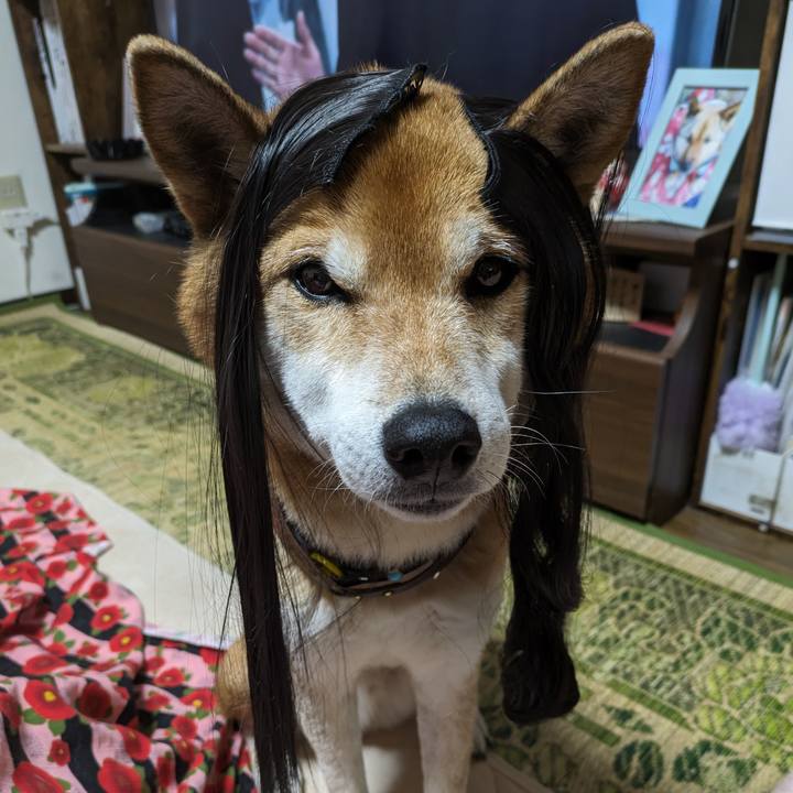 863b30b6 ba7d 4f14 a158 f54a67945005 1704642098902