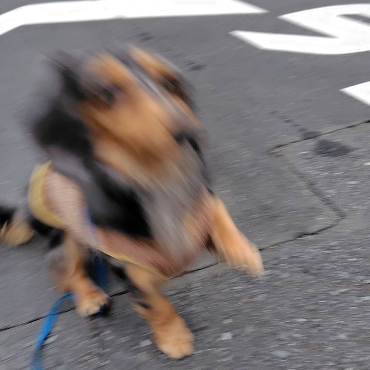 863b4610 4963 48cd b5d6 80526c21e369 1764721147074