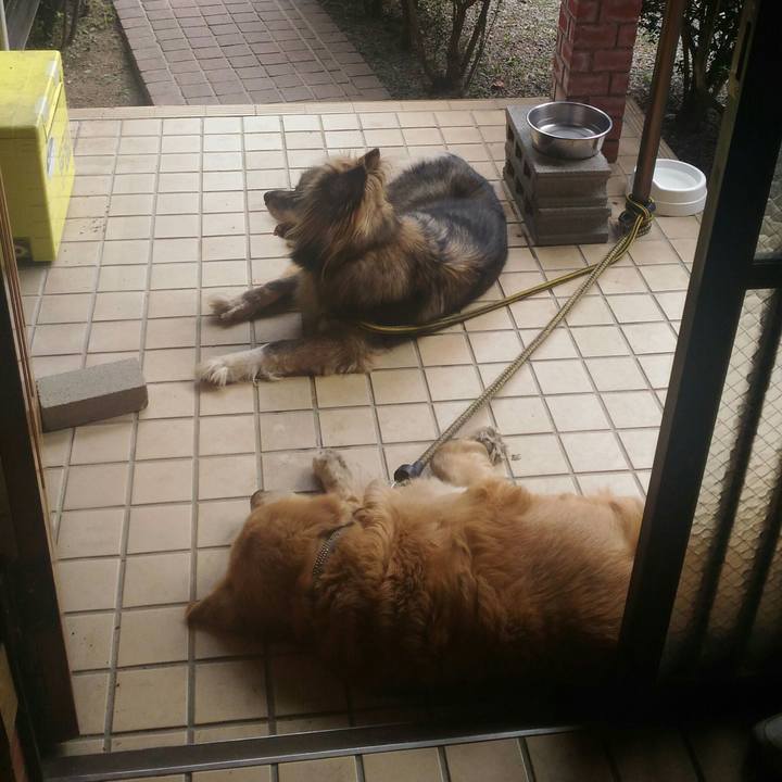 863b5a67 312e 4fe5 8534 0b97c87d25d5 1536141878044