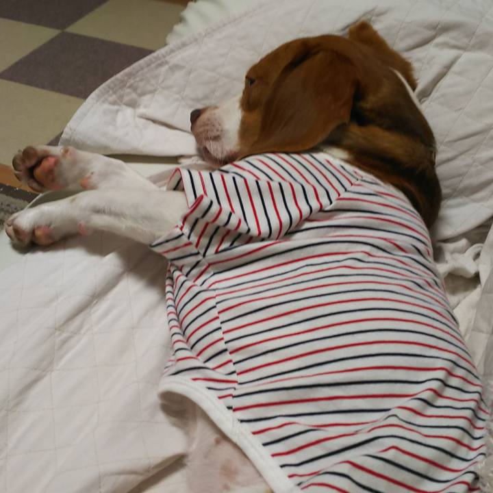 863b63ca d00f 49d8 84b1 d19c381e84d4 1564317758098