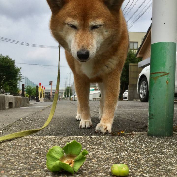 863b7c55 1693 467c 94da 05b106910342 1591409074025