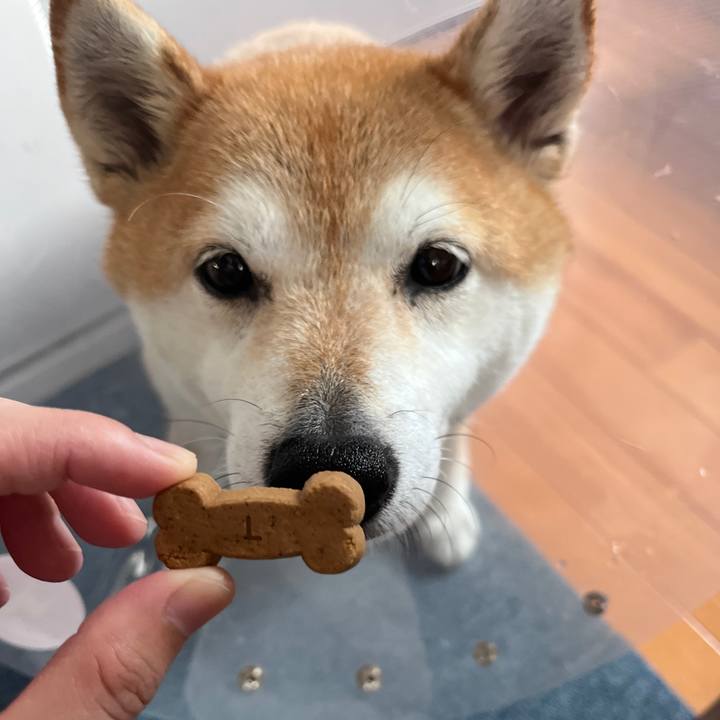 863c138c 827a 40dd 8b0e fa77dfc4d044 1716609296661