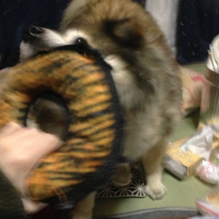 863ca703 7fcc 4c83 a548 5fe9465c7a2a 1579494949788