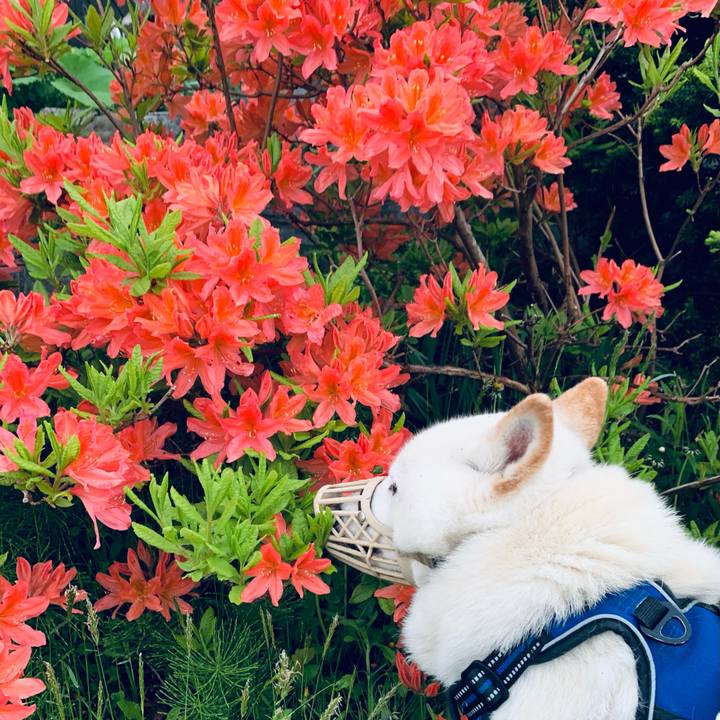 863cddbb 0f92 45b9 83a9 d558be92f8d9 1622233824039