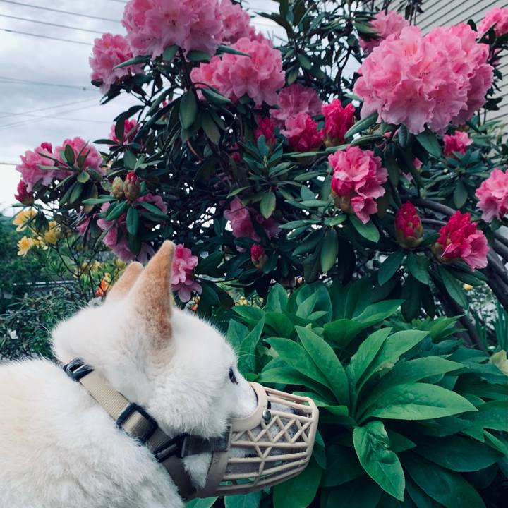 863cdfeb 4097 44ac 87a4 a7d3855d2702 1622233701671