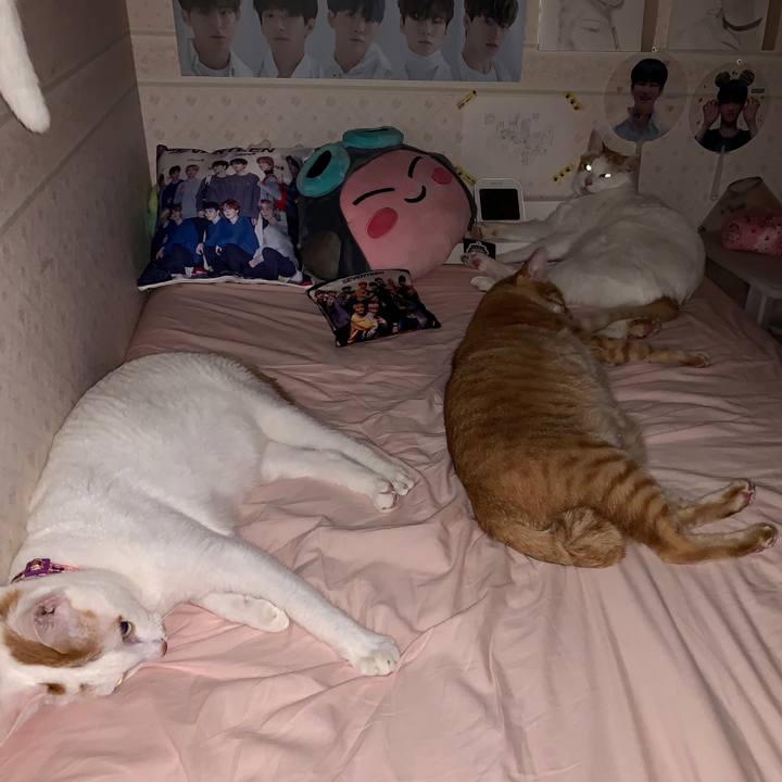 863d1c71 91fc 4f2c 9c96 ec8ab76280e0 1562775195997