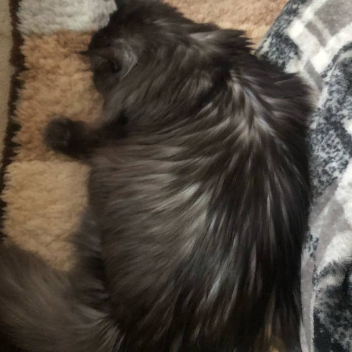 863d200a 7aec 4e14 a1a5 af02ece61ef3 1548024068173