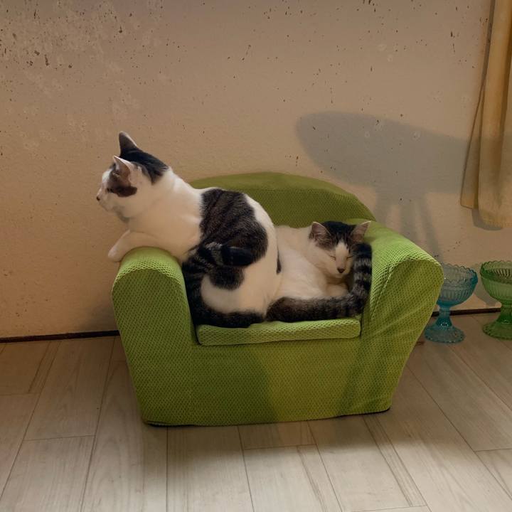 863d751b 3086 4513 8e43 d709658da994 1574826511994