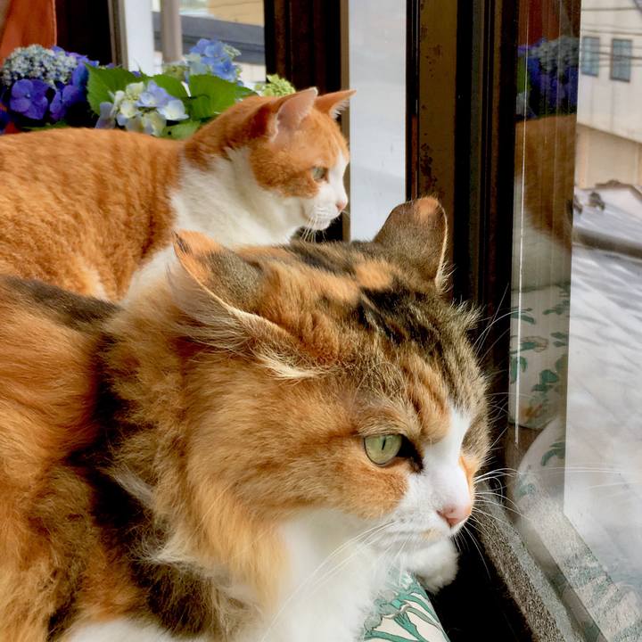 863d7cc8 5c30 45d1 8420 9b43833dc67f 1562913744677