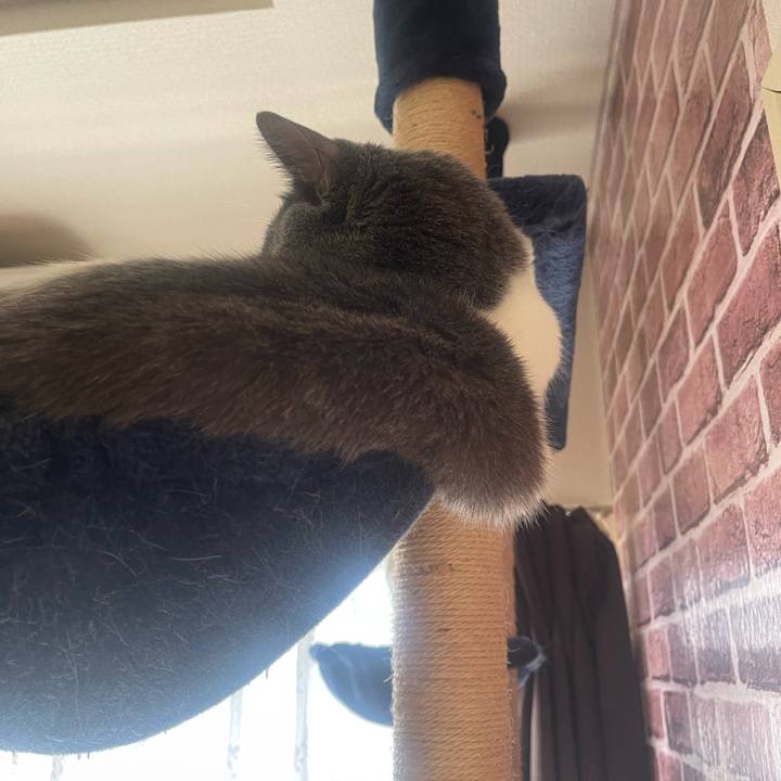 863db9ba 33a4 4a7d 8714 1d103db84825 1728703678292