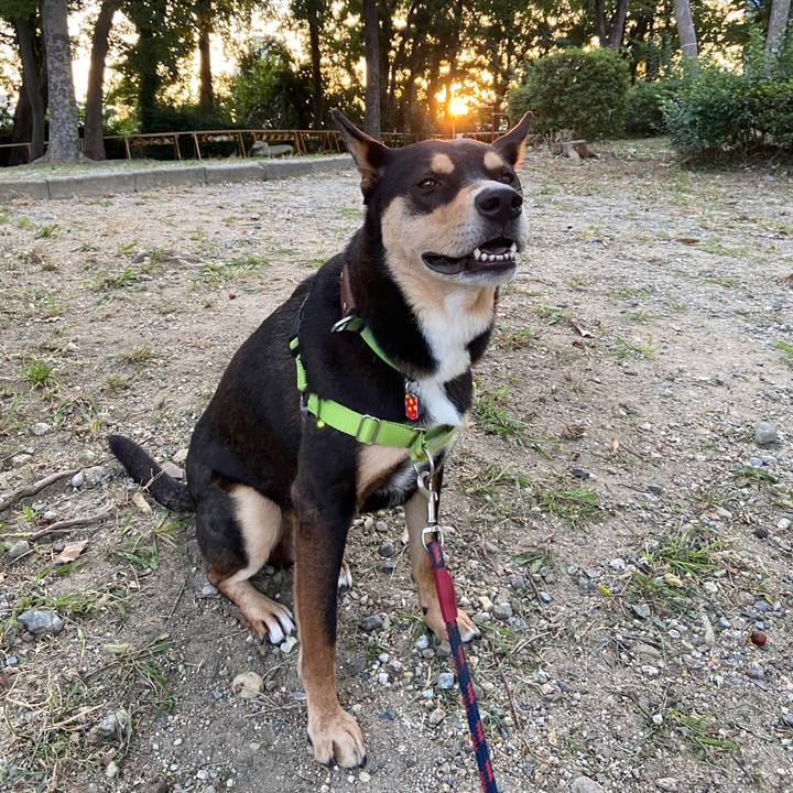 863dcd0a 6531 424e 8ae8 39f0b75bbe5c 1602667752784