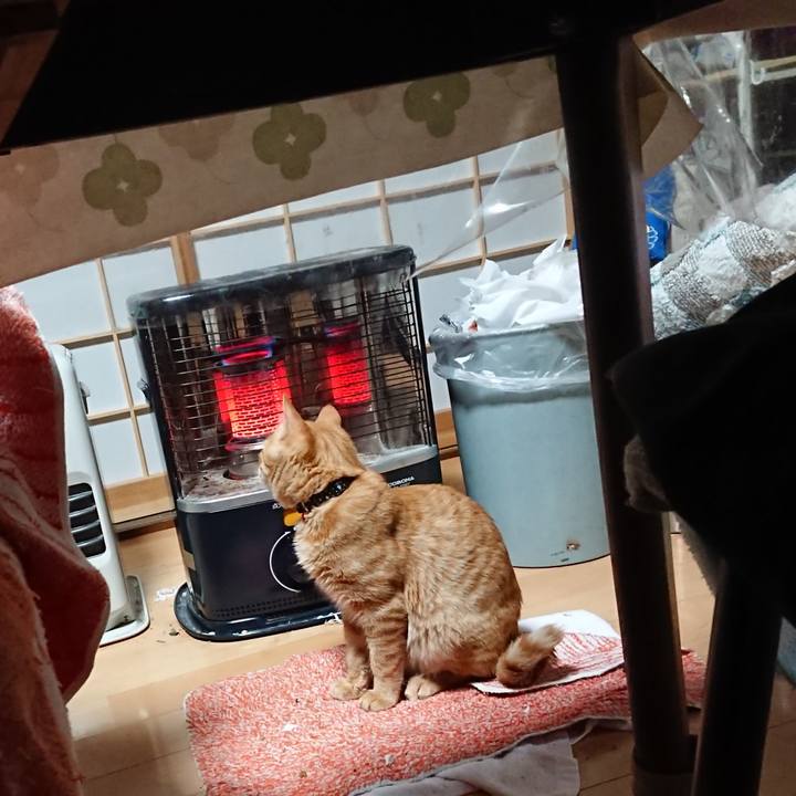 863de23b 0f93 4c04 8764 790388e331dd 1637700752872