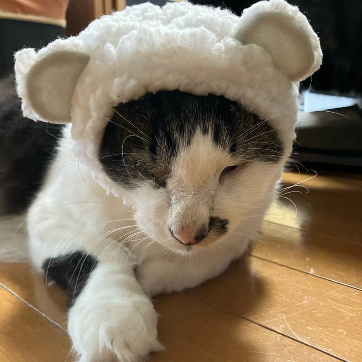 863e32f6 0b6d 49fd 84e4 cfc3dbd1d2ce 1758592053269