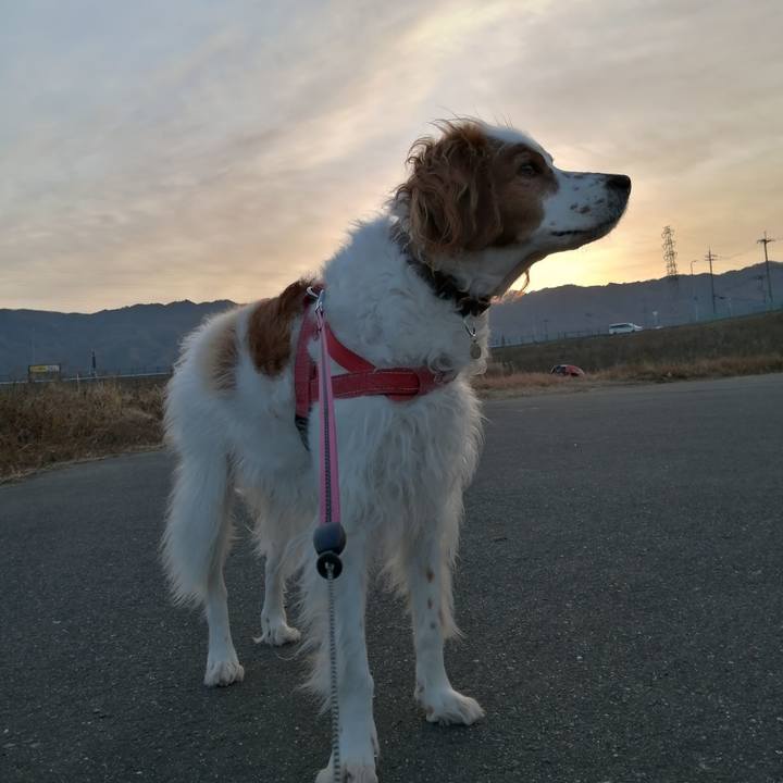 863e4418 8bb9 437a b54e 0a1dd637b872 1608939568436