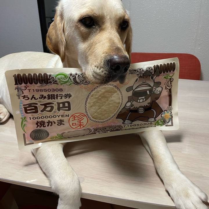 863e6464 ad1d 4dfe 8663 e9a3f938a829 1659617434702