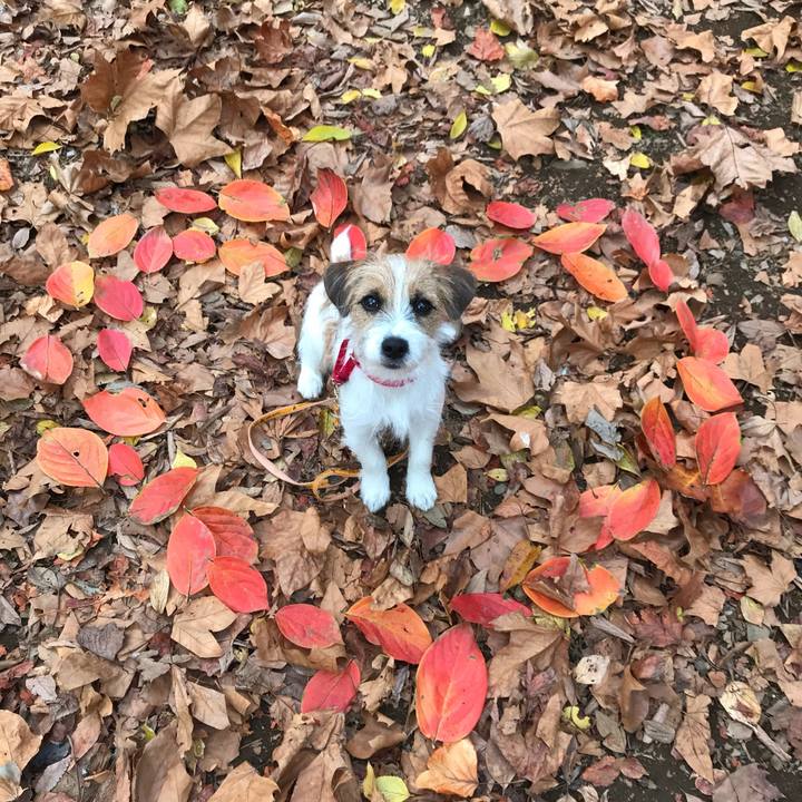 863e78a1 1473 4ea8 b51b bef7682b3fc0 1763710176022