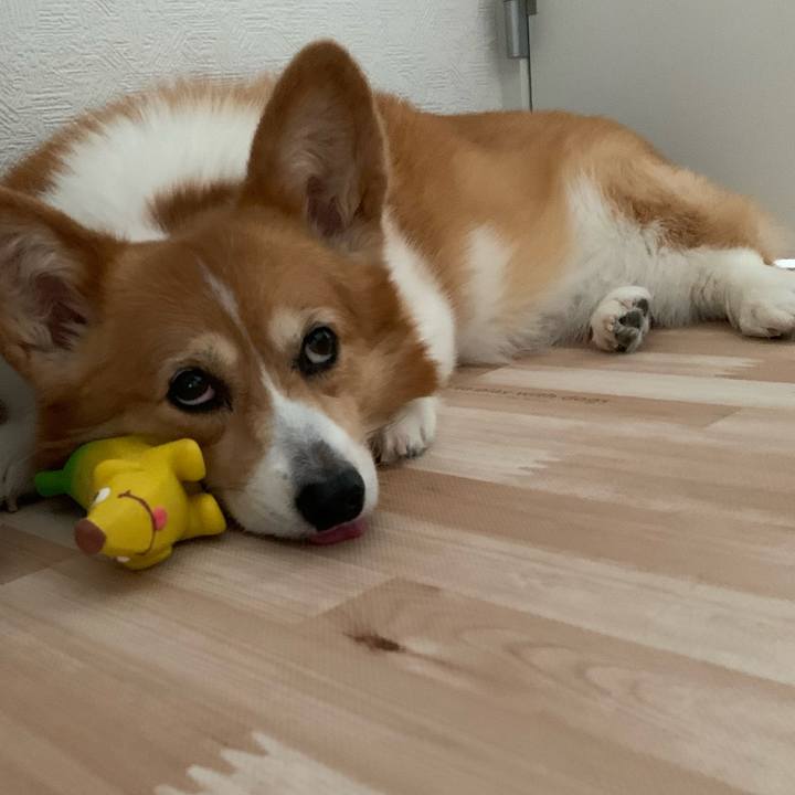 863e8d7d 7659 4290 a3b9 47f93e2dfaa6 1719900505539