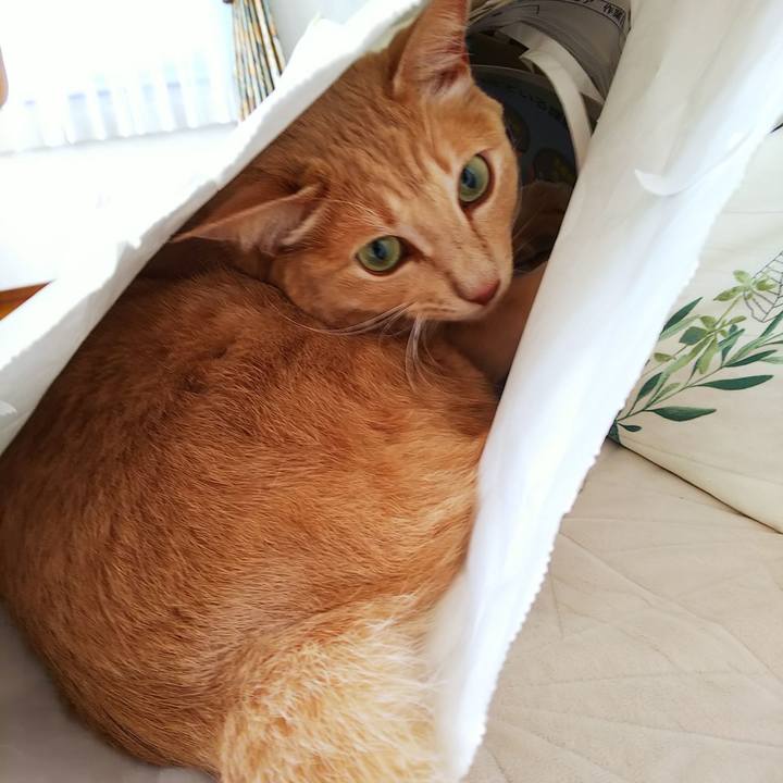 863e92a5 fcee 4283 9705 9b9c3b068fbb 1630627945569