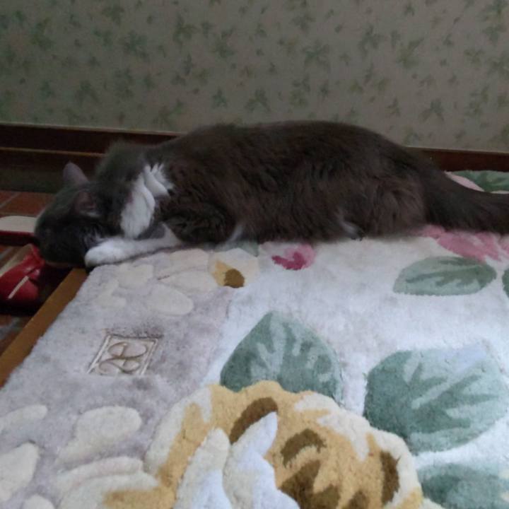 863e9b93 c5b9 4094 ac68 f63d8ce76863 1656672821097