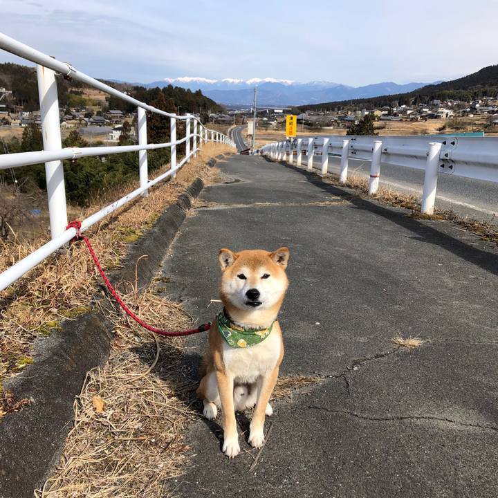 863eac31 5bc9 437b b9a3 9bcfa5fb90cf 1549714617361