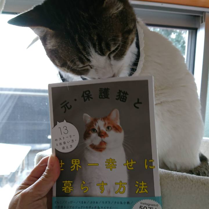 863ee0c2 a952 4d0a bd4a 857f30daea87 1551071463702