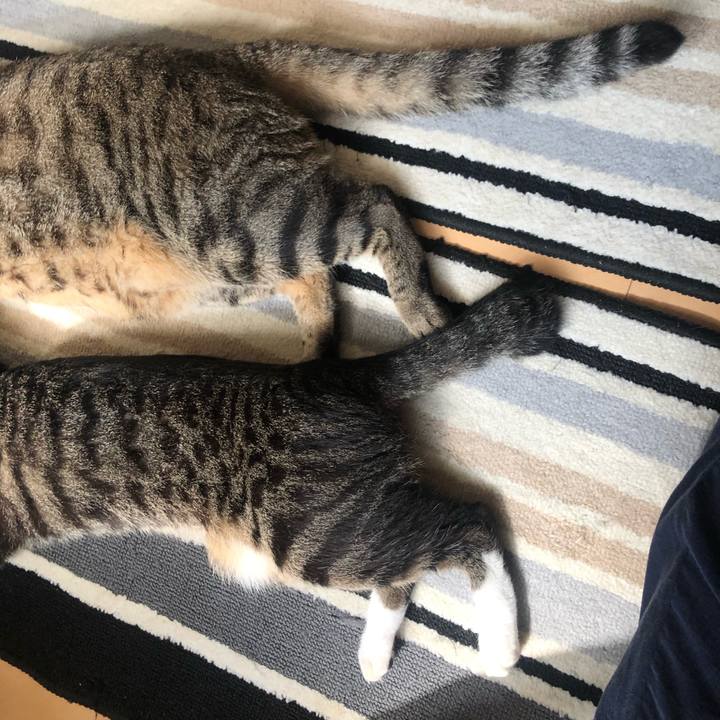 863ee91d d51b 42e9 9555 fc460f4e6077 1598935985713