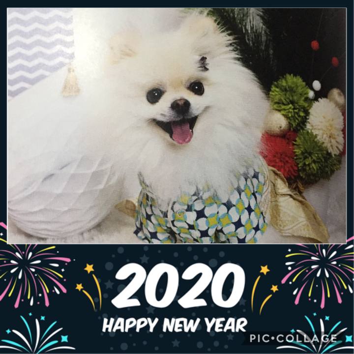 863f2ed7 a3d4 4d9a a6e2 a916d957b6c6 1577804500306