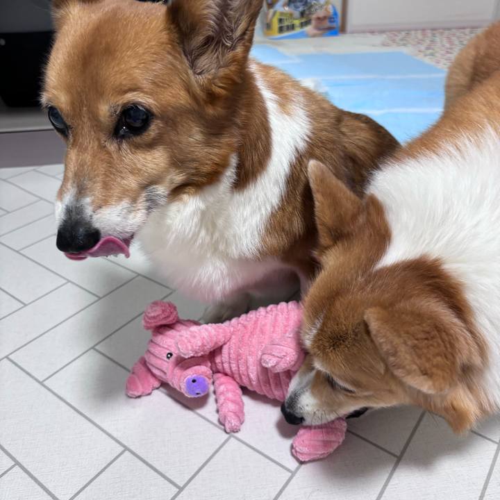 863f7360 0a79 4cd5 91e3 85693b25fa50 1752671252005