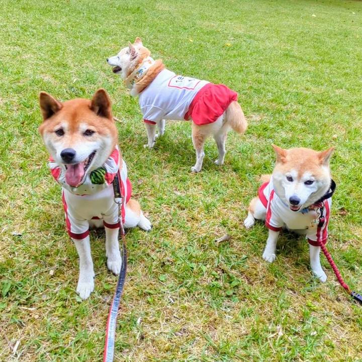 863f769b 5ef8 4b8c bd5b 79798a72f91a 1750732336300