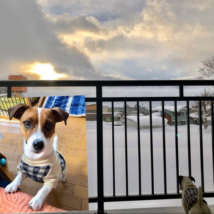 863fd26a 3654 43d1 ab5d 9b6cd13a6906 1548458246934