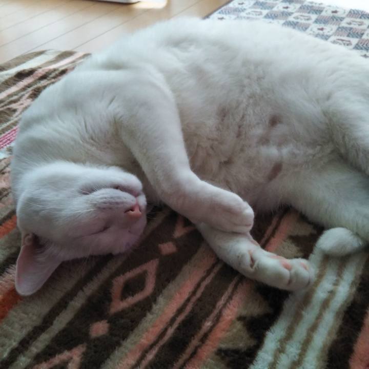 863ff5b6 33f2 4cd0 a01a 82fa10955f8d 1556152720154