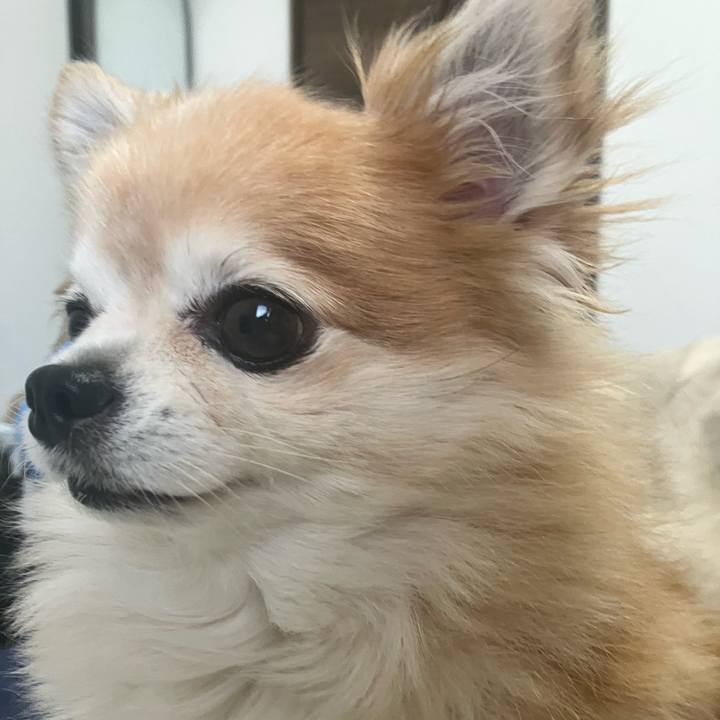 86402911 9e9a 4d18 b9b3 2805b7668657 1756894517667