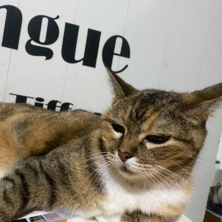 8640422b 02fb 475d 81b9 c1dd504686ba 1758059706534