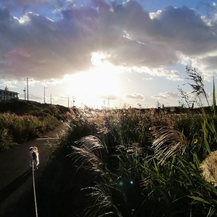 86404fe0 58ef 406f ab6b 18d01a6dcdc6 1633088962298