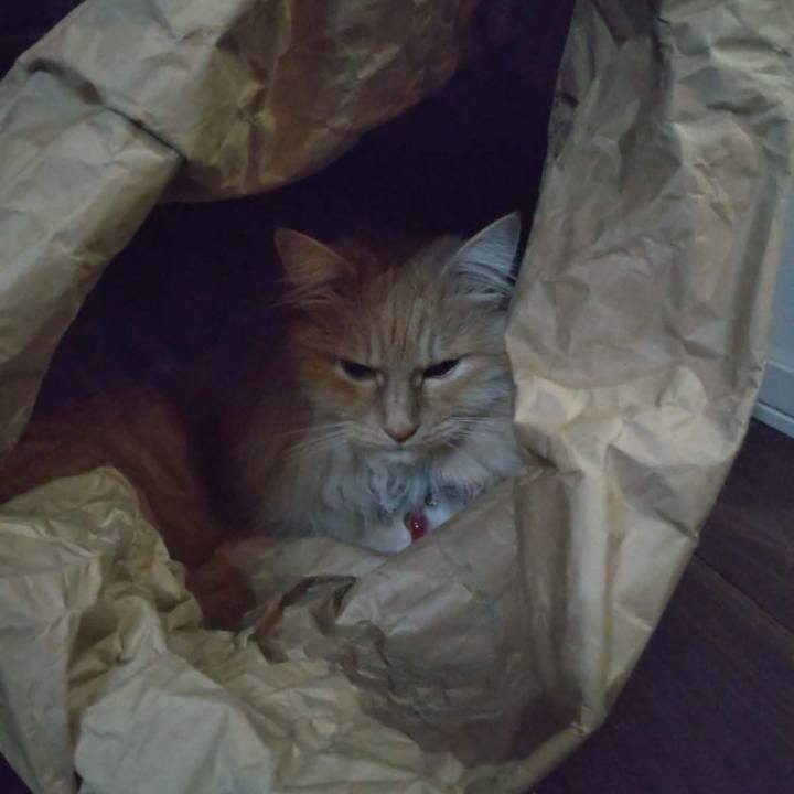 864055ee f6cc 4287 96b5 189519a65a62 1774700974992