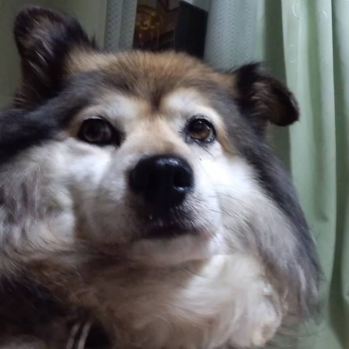 86406108 d75c 4dbf 8981 748b2372be4e 1595165998087